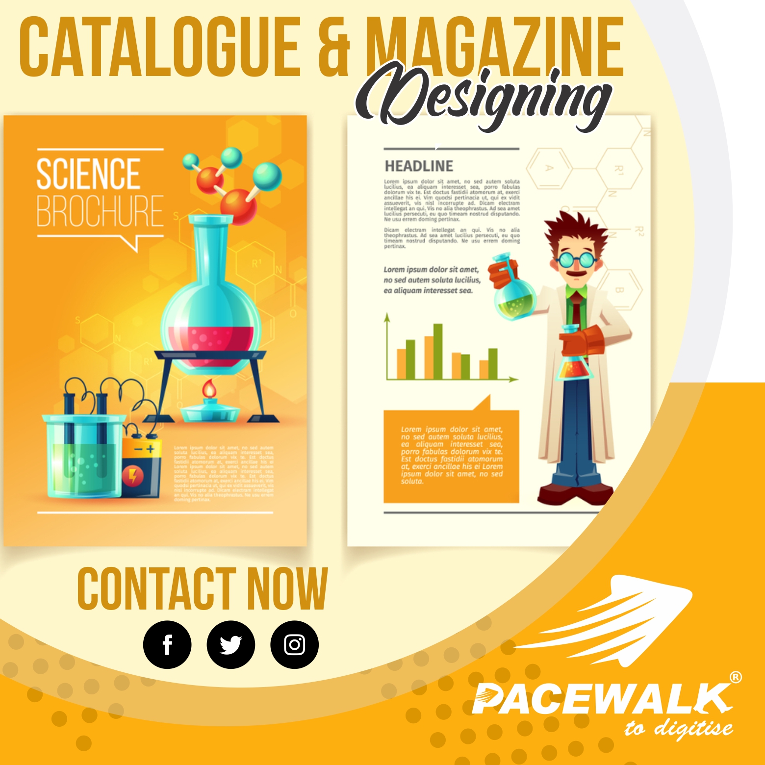 Catalogue Design